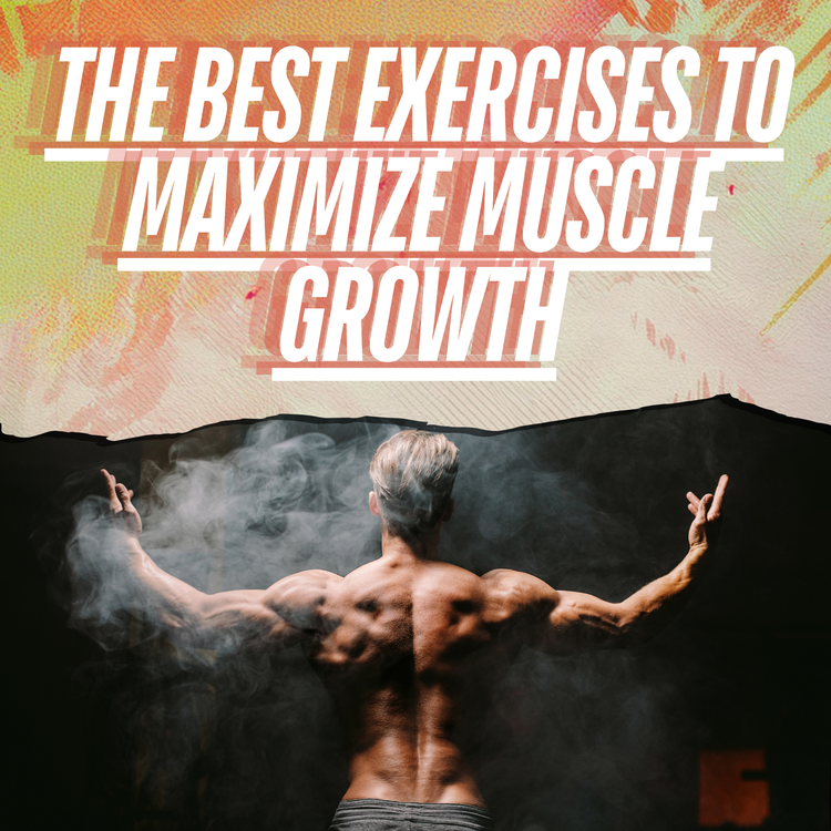 Build Muscle Like a Pro: The Best Exercises to Maximize Muscle Growth