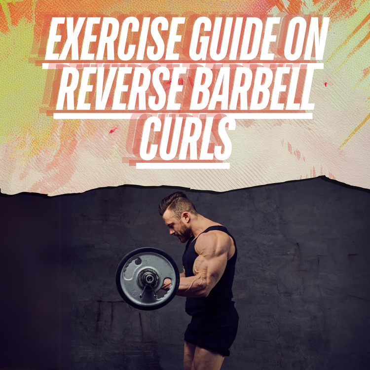 How To Do Reverse Barbell Curls | Exercise Guide