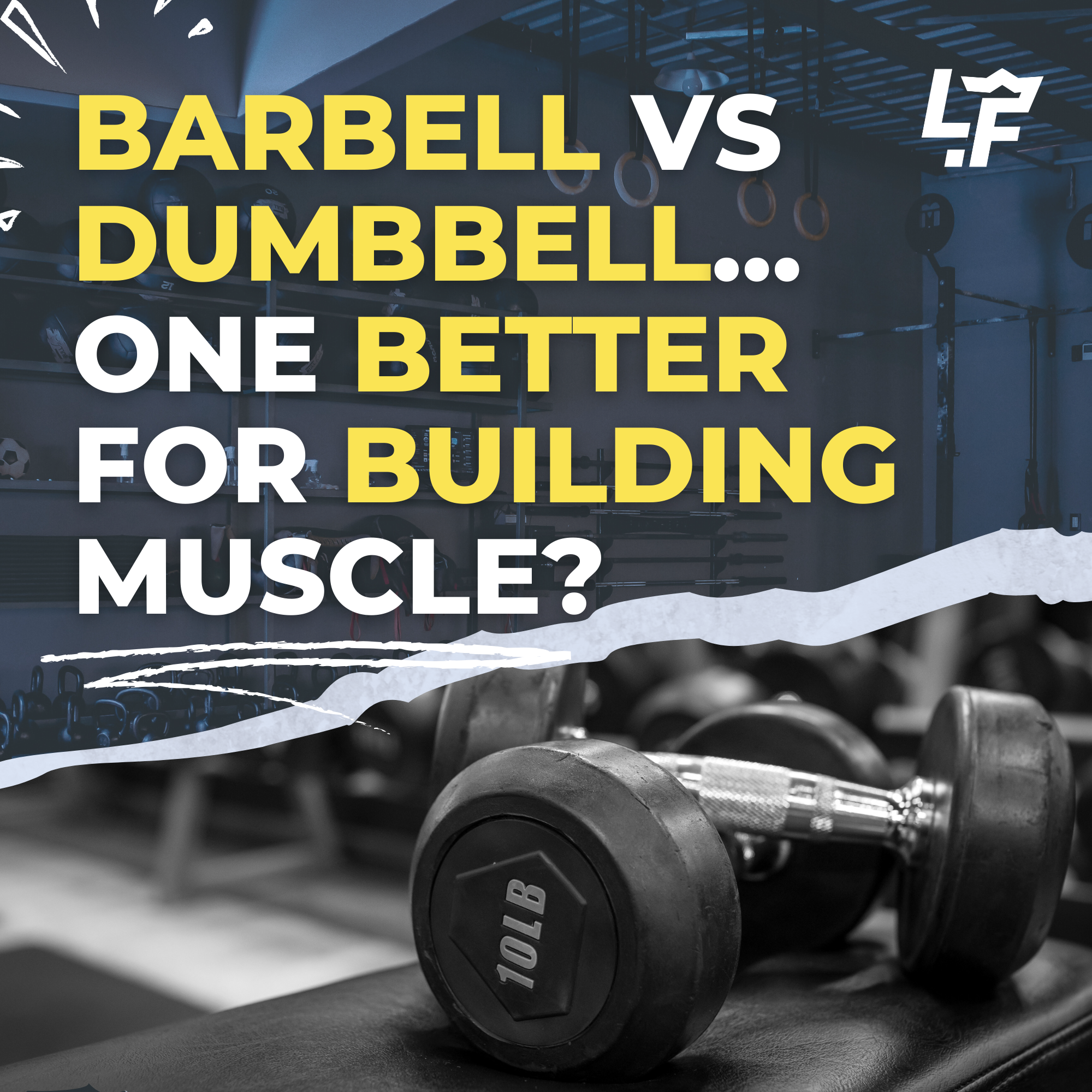 Dumbbell vs. Barbell Which Is Best for Muscle Growth? Living.Fit