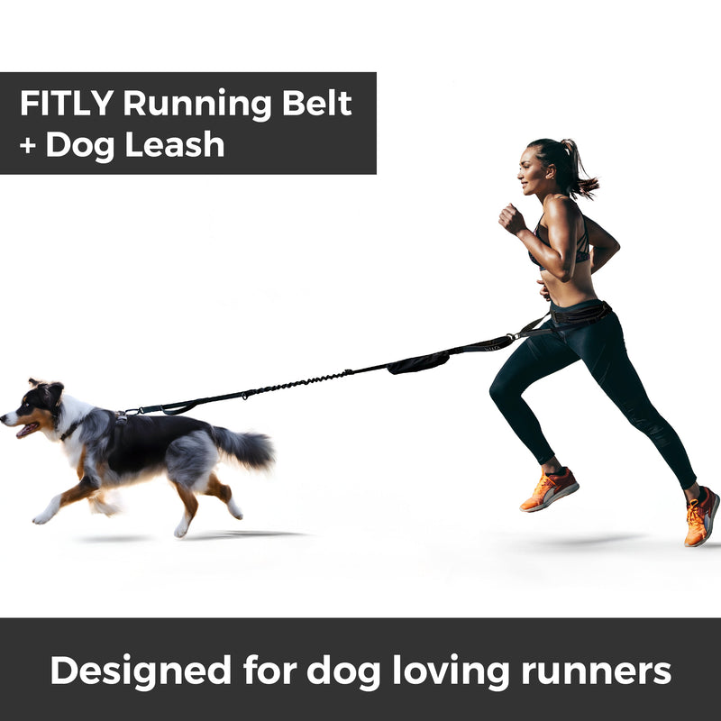 Load image into Gallery viewer, FITLY Running Belt + Dog Leash - BLUE
