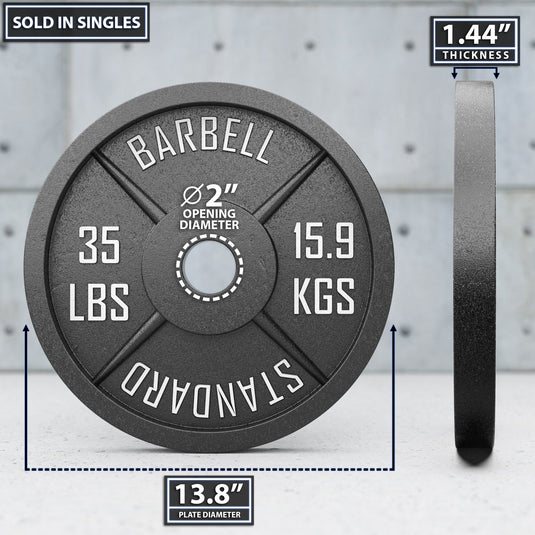 Synergee Standard Metal Weight Plates