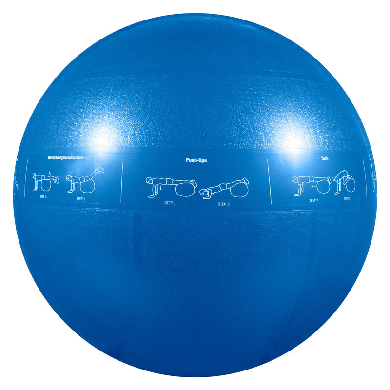 Load image into Gallery viewer, Guide Ball - Pro Grade Stability Ball
