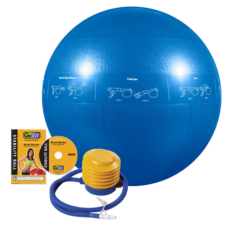 Load image into Gallery viewer, Guide Ball - Pro Grade Stability Ball
