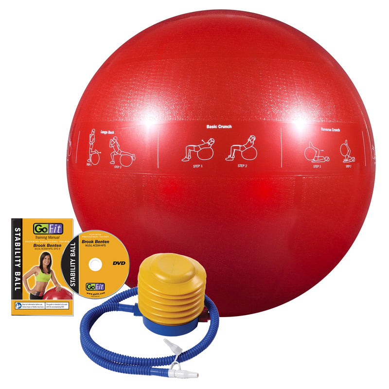 Load image into Gallery viewer, Guide Ball - Pro Grade Stability Ball
