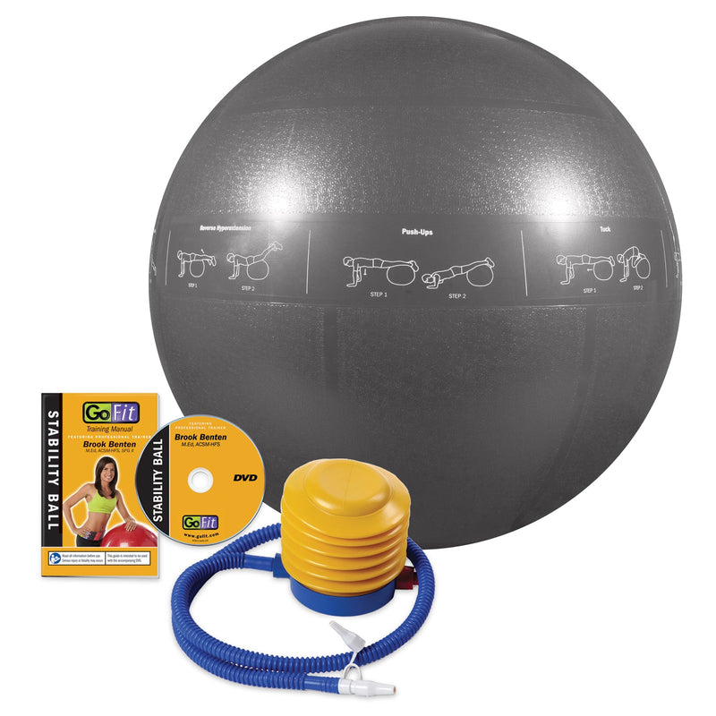 Load image into Gallery viewer, Guide Ball - Pro Grade Stability Ball
