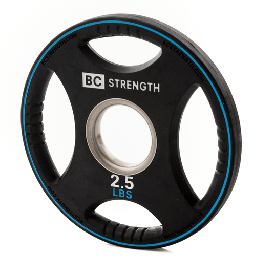 2.5lb Weight Plates (set of 2)