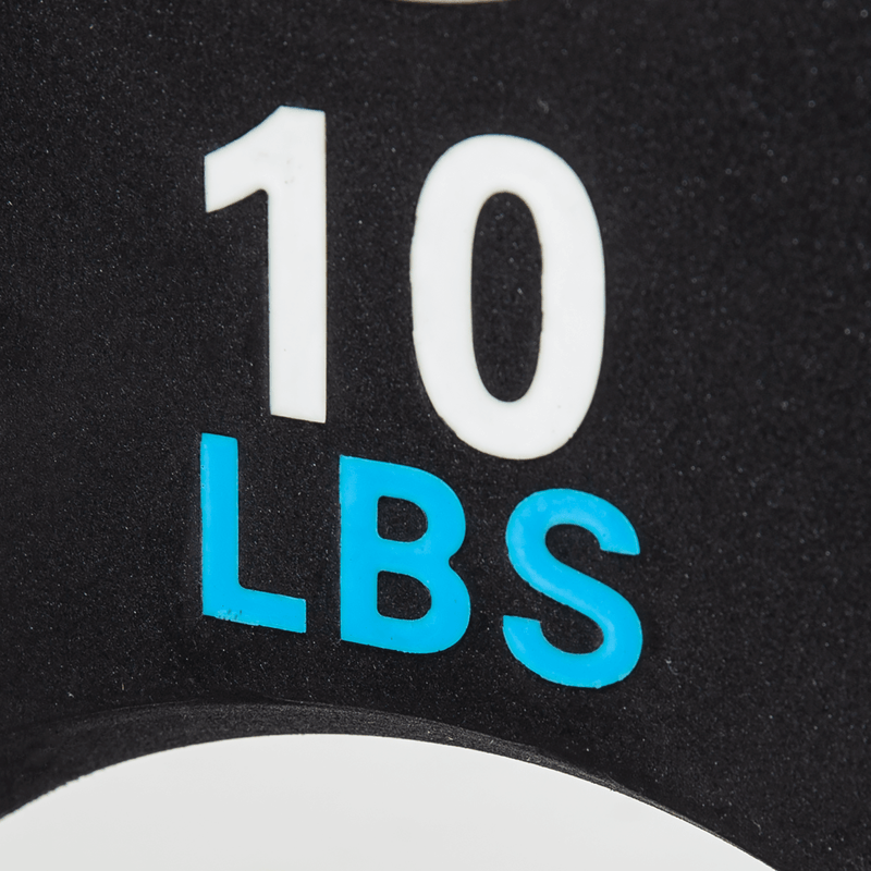 Load image into Gallery viewer, 10lb Weight Plates (set of 2)
