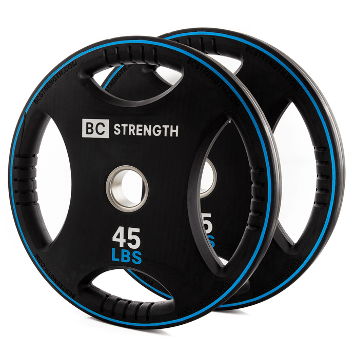 45lb Weight Plates (set of 2)