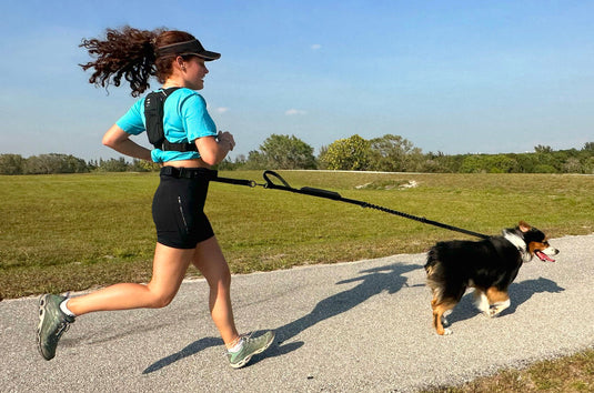 FITLY Running Belt + Dog Leash - BLUE