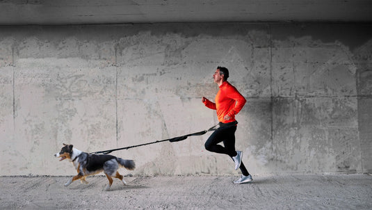 FITLY Running Belt + Dog Leash - BLUE