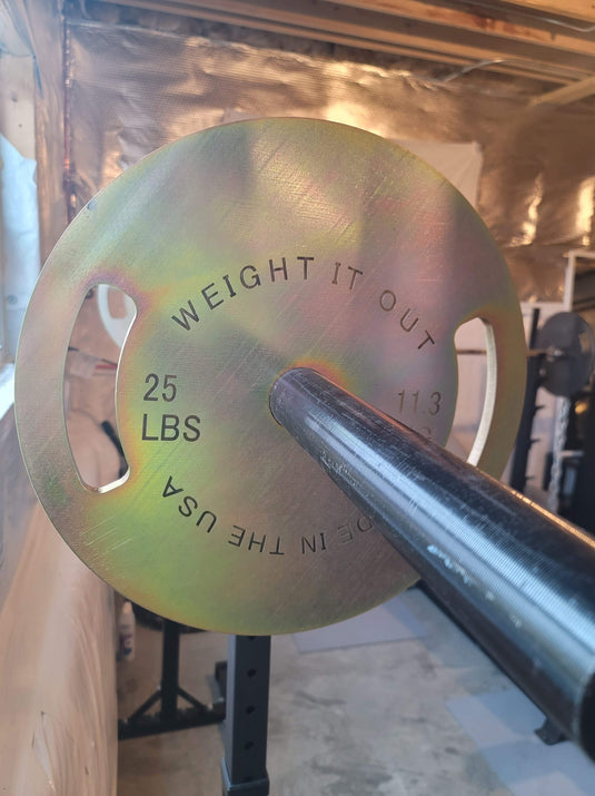 25 Pound Weight Plate Pair