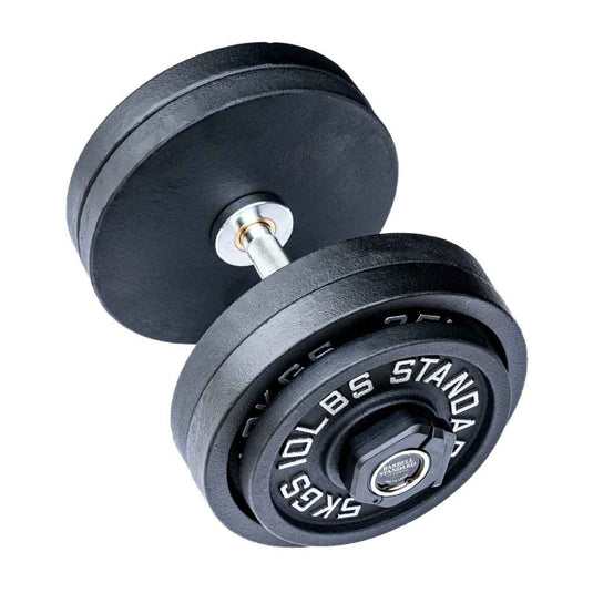 Barbell Standard Loadable Dumbbell Bar - Pair