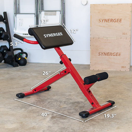 Synergee Roman Chair