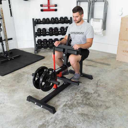 Synergee Seated Calf Raise Machine