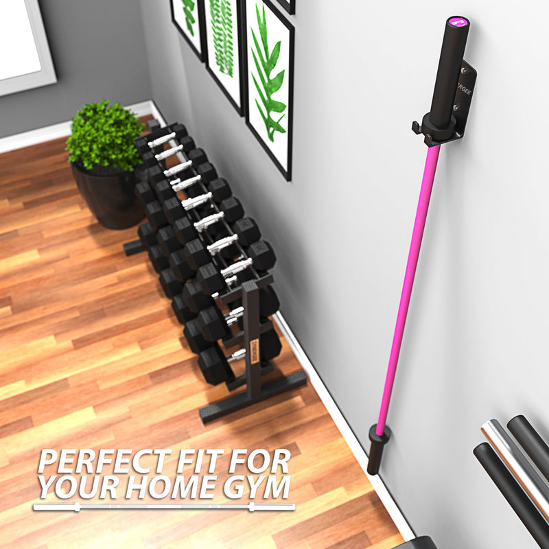 Load image into Gallery viewer, Synergee Vertical Barbell Wall Storage Racks
