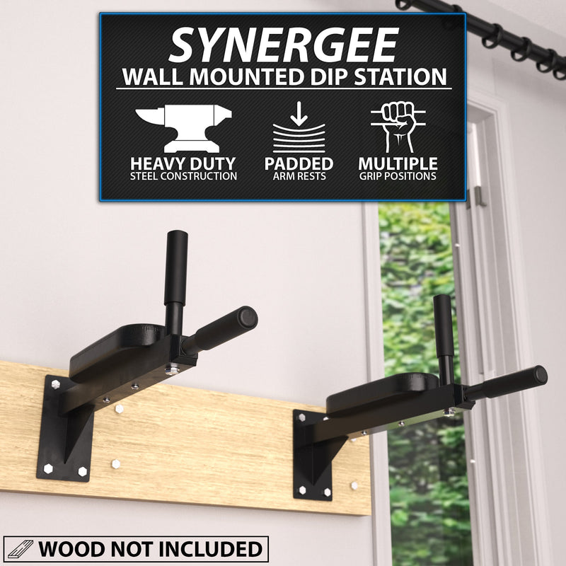 Load image into Gallery viewer, Synergee Wall Mounted Dip Station
