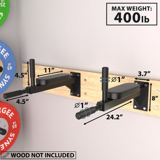 Synergee Wall Mounted Dip Station